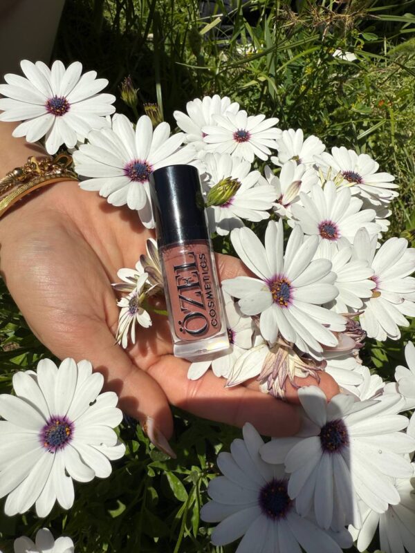 lipgloss shade hazelnut